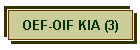 OEF-OIF KIA (3)