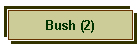 Bush (2)